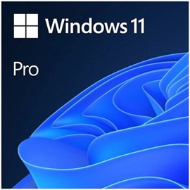 Microsoft Windows 11 Pro 64bit ingilizce Oem FQC-10528