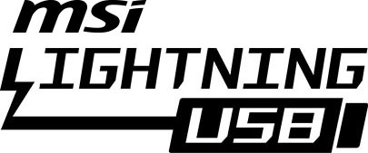 Lightning USB logo