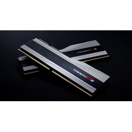 GSKILL F5-5600U3636C16GX2-TZ5S Trident Z5 Silver DDR5-5600Mhz CL36 32GB (2X16GB) DUAL (36-36-36-76) 1.2V