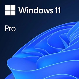 Windows 11 Professional 64 Bit Türkçe KUTU HAV-00159
