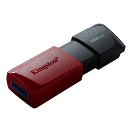 Kingston 128GB USB3.2 DTExodaM DTXM/128GB Usb Bellek