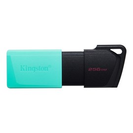 Kingston 256GB USB3.2 DTExodaM DTXM/256GB Usb Bellek